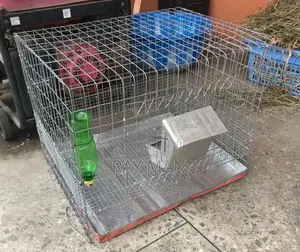 Cages For Pet Rabbits