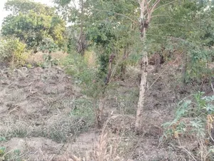  5 Acres of Land for Sale – Km 2, Iseyin–Ibadan Road (Beside Kara )