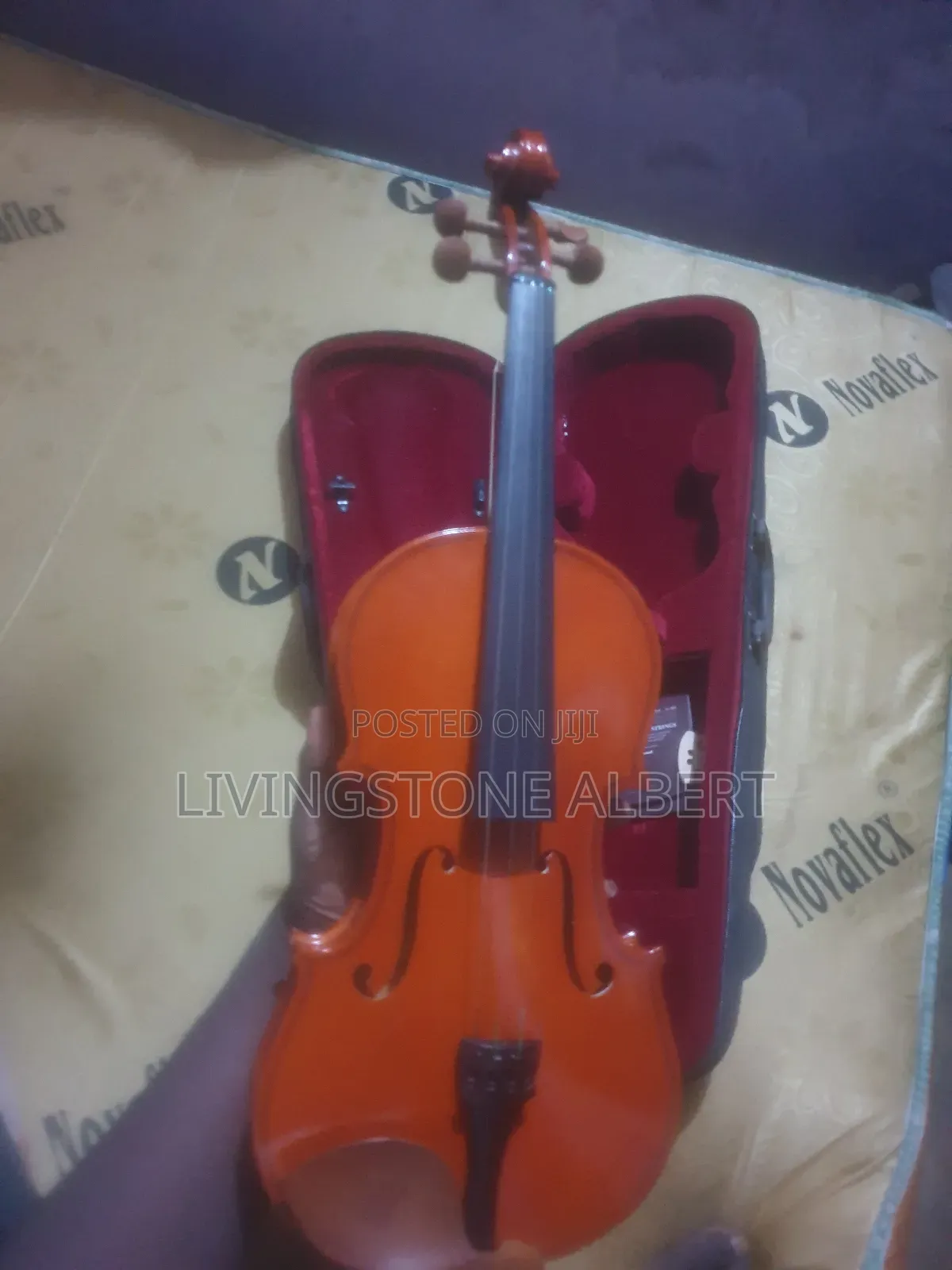 Professional Violin