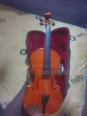 Professional Violin