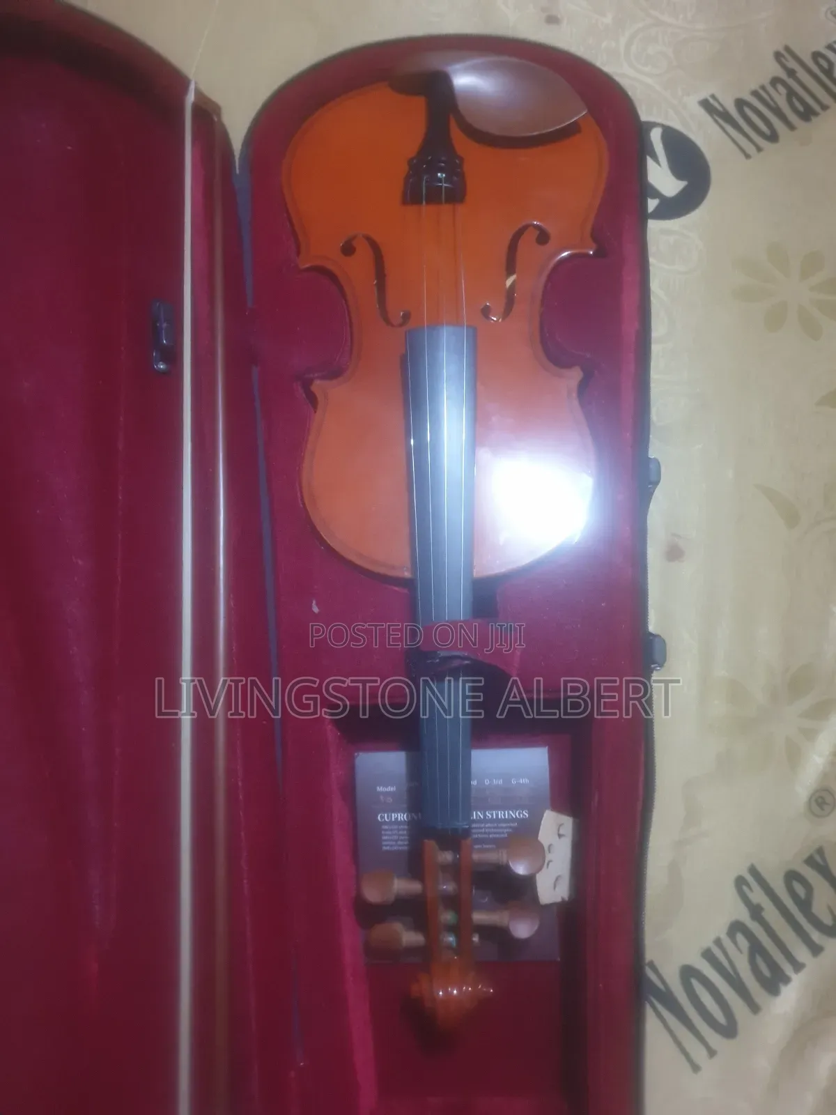 Professional Violin