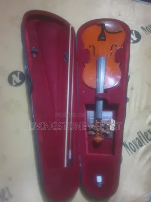 Professional Violin