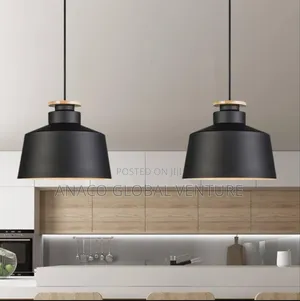 Modern Single Pendant Light Black Body