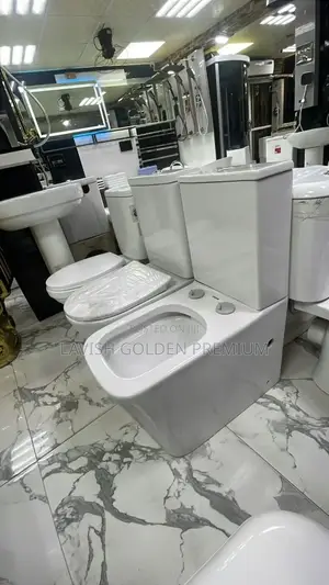 Seat and Tank Toilet Seat