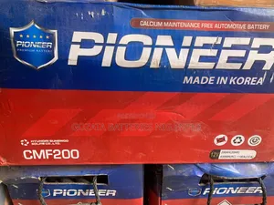Pioneer 200ah Battery
