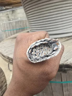 2.5mm 24core Armored Cable