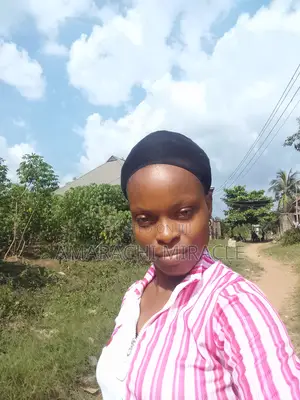 Remote CV (Work From Home