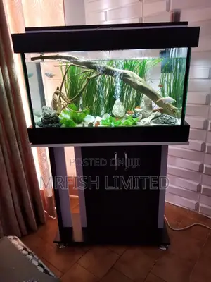 Aquarium + Stand