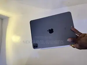 Apple iPad Pro 11 (2021) 256 GB Gray