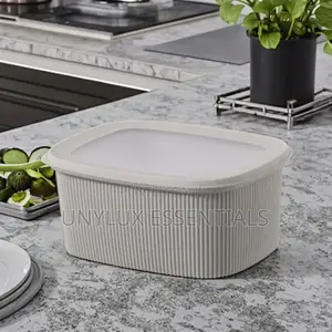 4pcs Rectangular Food Storage Container