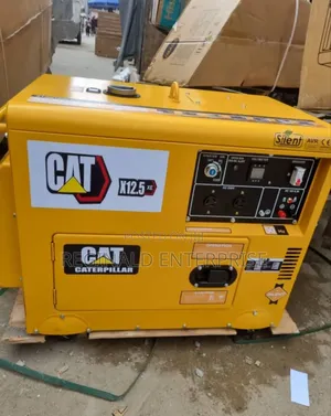 Come and Buy Cat 12kva Diesel-Powered Generator