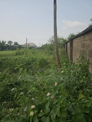 Residential Land at Green Land Estate Mende Maryland Ikeja