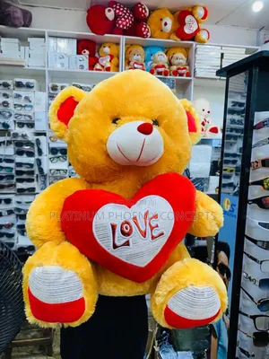 50cm Size Teddy Bear