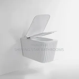 Executive White Conceal Toilet Set