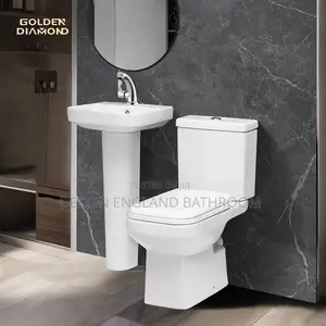 Executive Golden Diamond Wc With Wash Hand Basin
