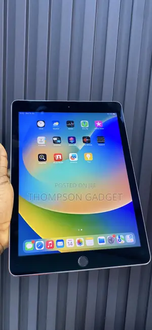 Apple iPad Pro 9.7 (2016) 32 GB Gray