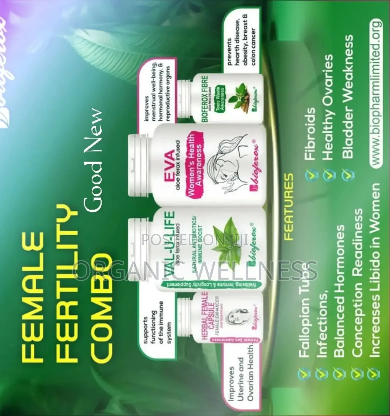 Solution For Female Fertility Problems