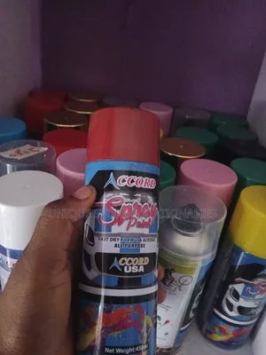 Accord Spray Paint