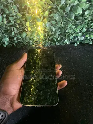Apple iPhone 14 Pro Max 128 GB White