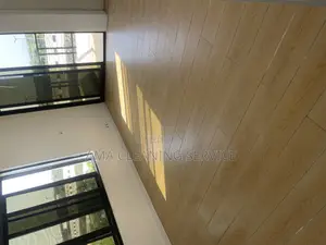 Professional Cleaning Services