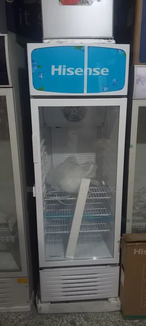 Hisense Low Voltage Smart Standing Chiller 5 Years Warranty