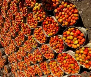 Fresh Utc Tomatoes