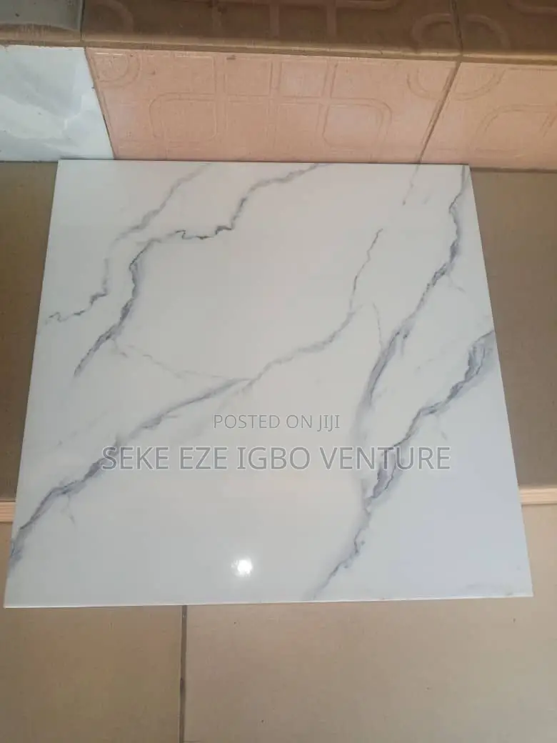 60x60 Super Pulish