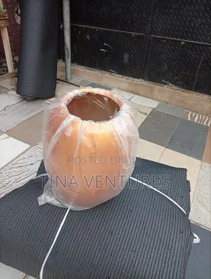 Flowers Pot