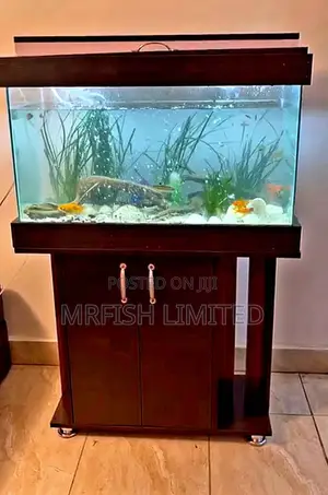 Natural System Aquarium