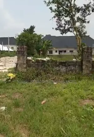 100 by 100 Commercial Land Along Oviri Road Agbarho