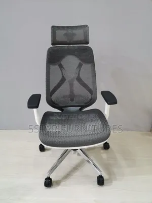 Luxury Ergonomic Mesh Office Chair