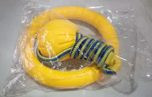 Flying Disc Set Dog Toy