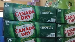 Canada Dry Ginger Ale 355ml Cans, 24 Pack