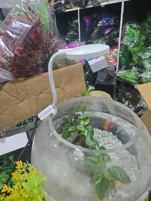 Fish Bowl Light