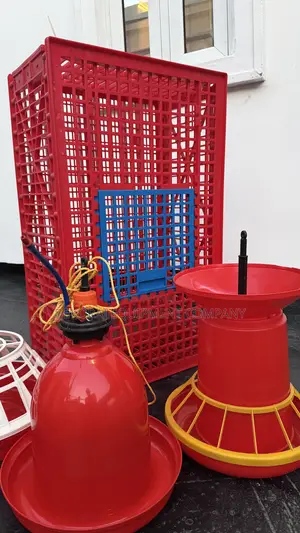 Indian Best Bell Drinkers + Feeder Imported Chicken Cages For Sale!