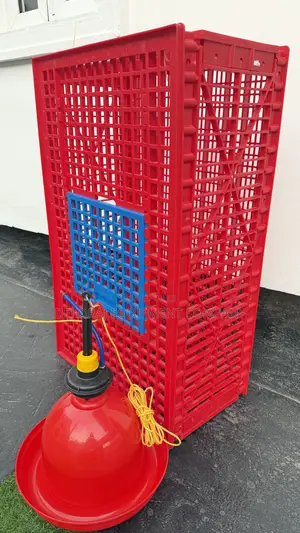 Indian Transport Crate ,Bell Drinkers for 50 Birds—100% Indian