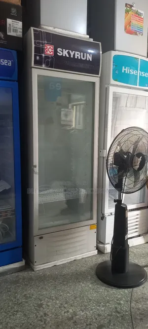 Skyrun Low Voltage Standing Chiller 500liters With Auto Surge Protecto