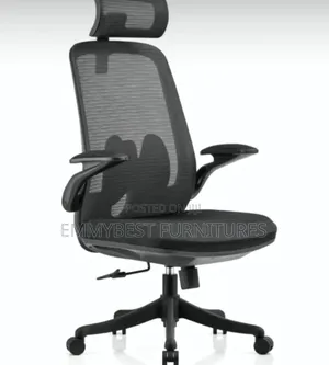 Ergonomic Office Chair.