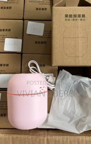Mini Humidifier