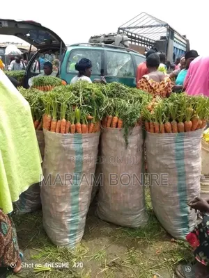 Fresh Carrots