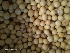 Caro White Okpa Seeds/ Bambara Nut