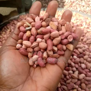 Red Kampala Groundnut