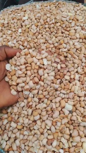 Oloyin Beans