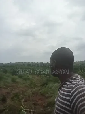 Farm Manager