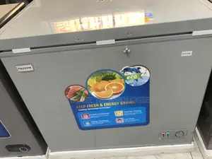 Polystar Pv-Cf322gl Power Saving Freezer