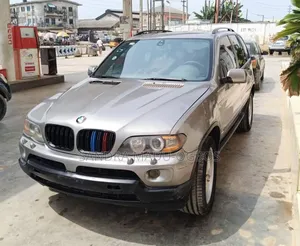 BMW X5 2005 Gray