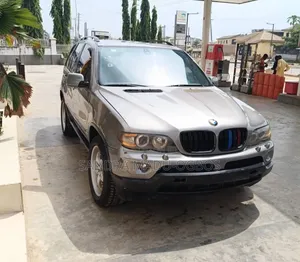 BMW X5 2005 Gray