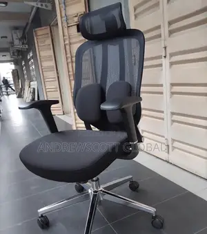 Brand New Imported Ergonomic Chair