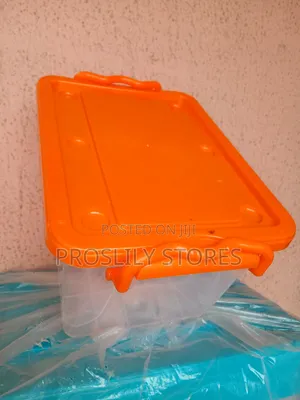 Small Plastic Boxes 12/10litres