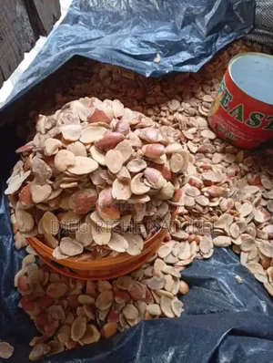 Ador Ogbono